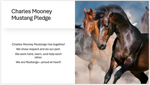 Mustang Pledge